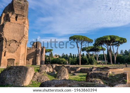Terme di Caracalla or the Bath of Caracalla springs ruins, view from ground panoramic in Rome - Italy