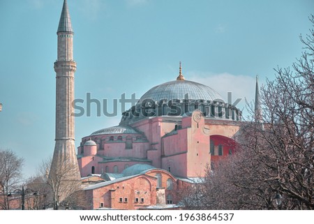 Facade and outside of Hagia sophia mosque now,before museum and ancient church from sultanahmet square with tourist palm trees during blue overcast sky background. 
