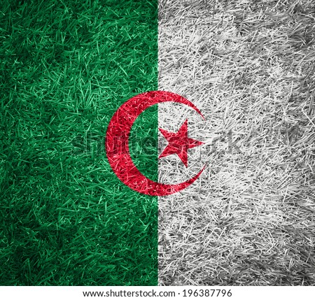 algeria Flag on grass texture background