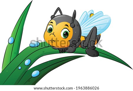 The sad bee is lie down her body on the leaf with the water drop ornament of illustration