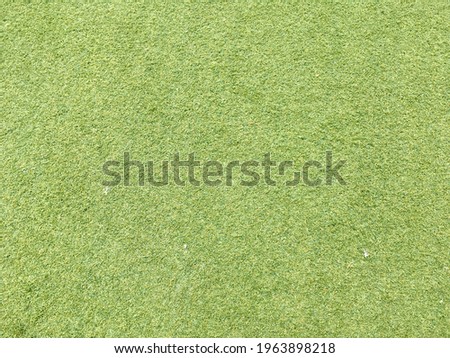 Green grass floor texture for background 