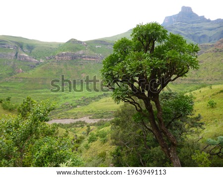 High quality South Africa nature pictures