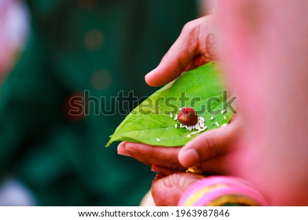 groom and bride holding green leaf in hand