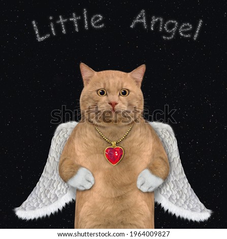 A reddish cat in a ruby heart shaped pendant with wings at night. Little angel.