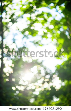 Bokeh caused by sunlight, wire through the trees.
