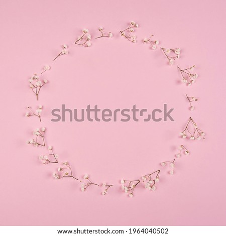 Delicate flowers of gypsophila on a pink background. Floral round frame with copy space. Small white beautiful flowers. Flat lay, concept, top view. Mother's day card, birthday or wedding invitation.