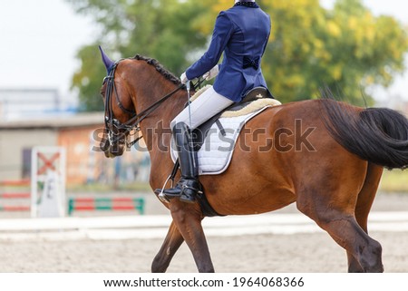 Young sportswoman riding horse at dressage advanced test. Teen girl riding horseback at her dressage course