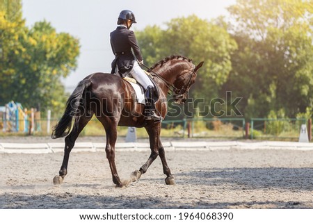 Young sportswoman riding horse at dressage advanced test. Teen girl riding horseback at her dressage course Royalty-Free Stock Photo #1964068390