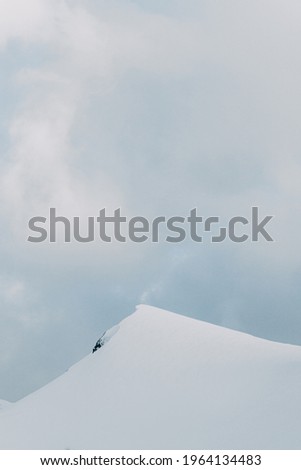 snowy verginis of the mountains in the Carpathian mountains
