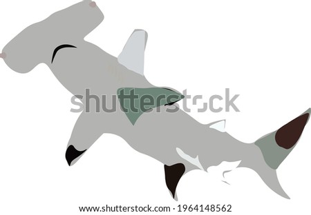 Hammerhead shark  happily swim in the sea