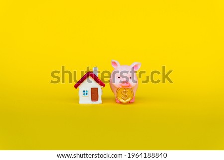 Closeup little pig with dollar coin and mini house on yellow background using as money saving and property real estate concept