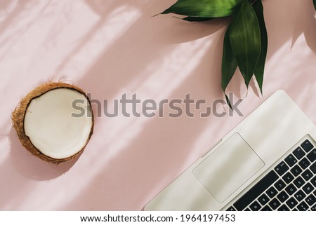 A top view shot of a pink surface, a laptop on it, green plant leaves, and half of a coconut