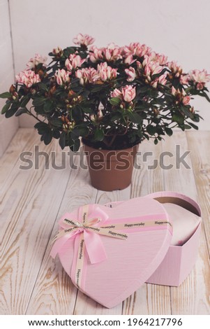 Cute gift with love for lovely girlfriend. Surprise. Pink heart-shaped box and beautiful flowers