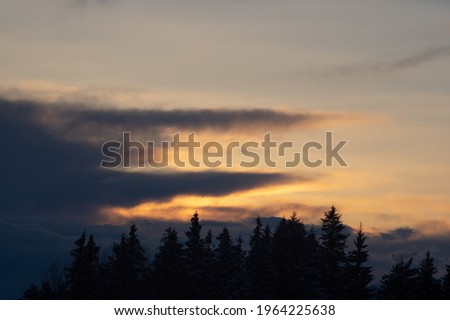 Silhouettes of trees in winter in the Carpathian mountains against the backdrop of clouds at sunset
