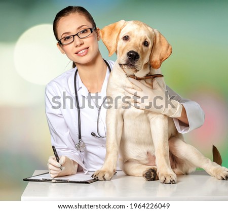 Young happy veterinary nurse smiling while playing with a cute dog.
