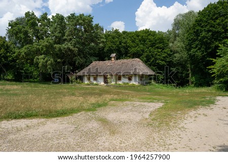A yard with grass and trees near the ancient Ukrainian countryside house. High quality photo