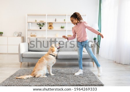 Dog Training Commands Concept. Positive black girl teaching pet at home in living room, playing with golden retriever and rewarding him with treats, standing indoors and giving animal food Royalty-Free Stock Photo #1964269333