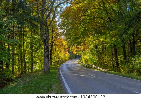 Country road through beech forest in autumn, near Weilheim, Upper Bavaria, Bavaria, Germany, Europe Royalty-Free Stock Photo #1964300152