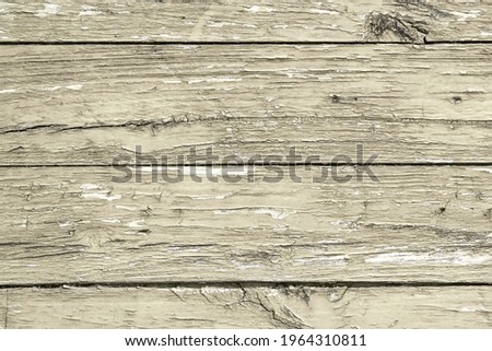 vintage brown wooden door , background texture