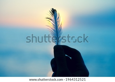 Young woman's hand holding white soft feather against the sun, spiritual background, freedom, relaxation, hope and meditation concept Royalty-Free Stock Photo #1964312521