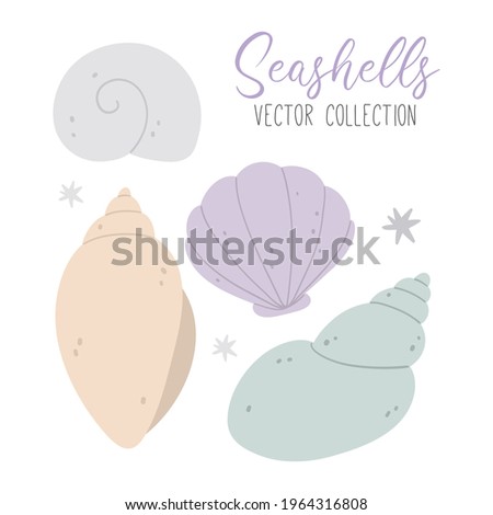 vector collection with seashells and stars