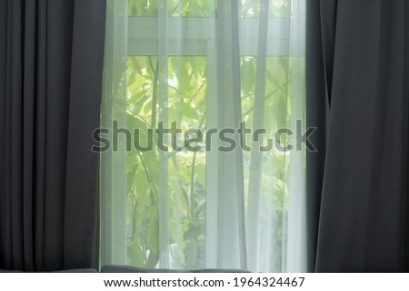 Transparent curtains with morning light from window with green leaf behind it