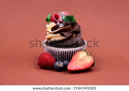 One chocolate vanilla cupcake with raspberries still life stock images. Delicious creamy cupcake with fruit isolated on a brown background photo. Fresh cupcake with berries stock images