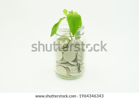 The plant growing in the jar with the coin filled inside is isolated on a white background
