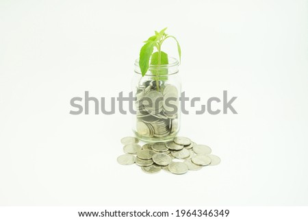 The plant growing in the jar with the coin filled inside is isolated on a white background