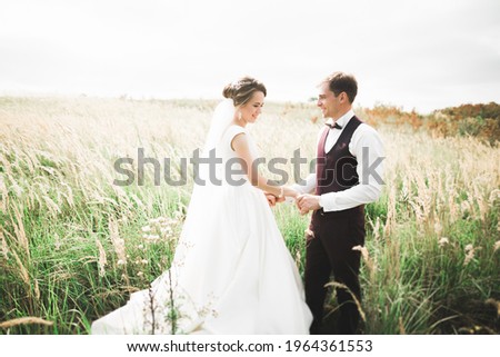 Lovely wedding couple, bride and groom posing in field during sunset