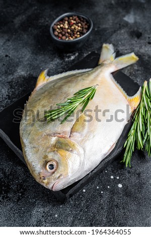 Raw fish pompano with herbs on a marble board. Black background. Top view