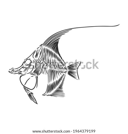 skeleton of fish. sketch. skeleton of a prehistoric fish vector sketch illustration