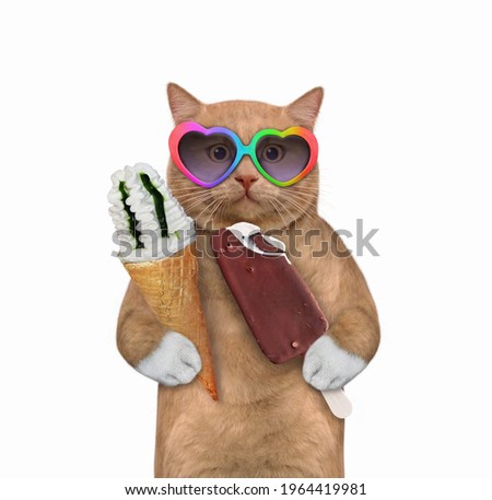 A reddish cat in heart shaped sunglasses holds two ice creams. White background. Isolated.
