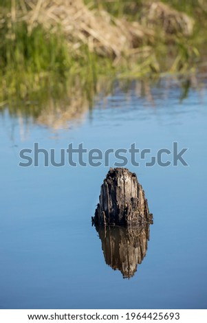 An abstract photo of a wooden stump in calm water wasting a mirror like reflection near Clark, Fork, Idaho.