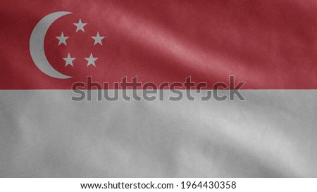 Singaporean flag waving in the wind. Close up of Singapore banner blowing, soft and smooth silk. Cloth fabric texture ensign background. Use it for national day and country occasions concept.