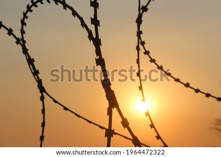 Razor wires at the border
