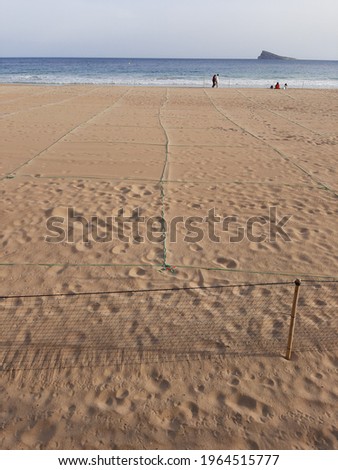the beach was divided by lines to keep the distance