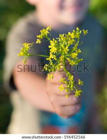 Bouquet of meadow flowers in hands
