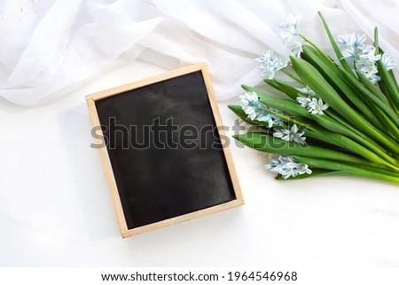 Fresh blue spring flowers Scilla siberica and wooden blackboard empty on a white table. Mockup. Copy space