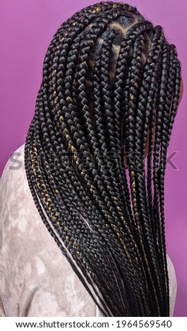 Box Braid Individuals, Black With Blonde Highlights Side View, Purple Background Royalty-Free Stock Photo #1964569540