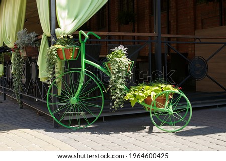 Green decorative bicycle with flowerpots, with blooming flowers. Decoration of an open-air outdoor cafe.