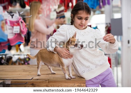 Smiling cute girl playing with her small dog chihuahua in pet store