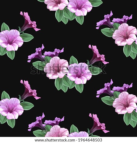 Seamless pattern, Pink and lilac petunia flowers on a black background close-up