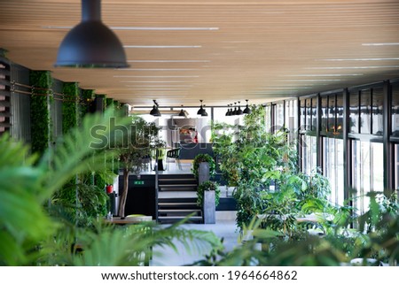 Modern eco restaurant interior. Ecology environmental with green plants. 