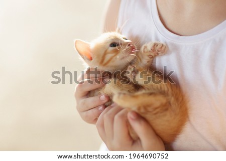 Child holding baby cat. Kids and pets. Little girl hugging cute little kitten in summer garden. Domestic animal in family with kids. Children with home pet animals. 