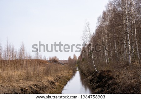 a water channel in a swamp along the edge of which trees grow