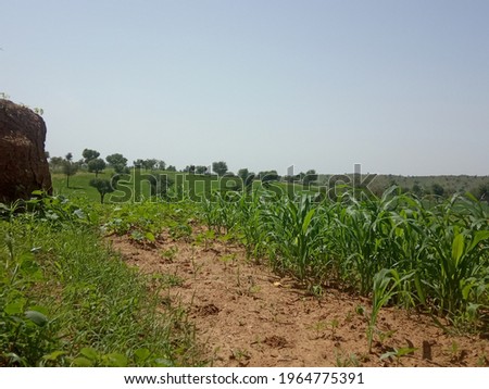 Agriculture, Farming, Natural Garden Pictures