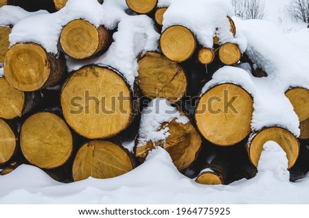 Winter scene of a snow covered log pile in the woods