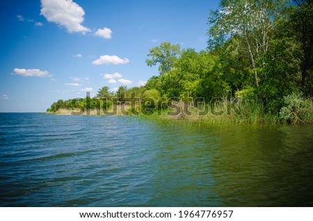 Lush forest on the river Royalty-Free Stock Photo #1964776957