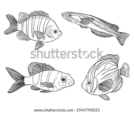 Reef Fishes Sketch Vector Illustration. Hand Drawn Underwater Animals Set. Realistic Nature Elements for Fishing Store, Seafood Design. Vector illustration